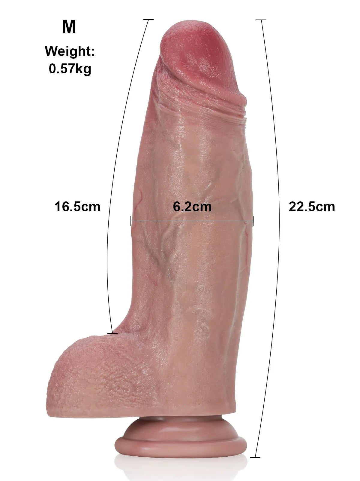 Moritz - Realistischer Dildo mit breitem Rücken und ausgeprägtem Grat - 25,5 cm
