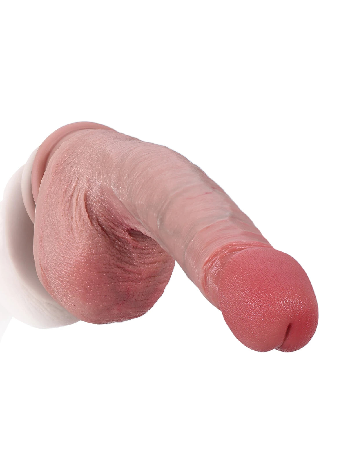 Robert - Realistischer Dildo mit großer, ausgeprägter Eichel für Einsteiger - 22,2 cm