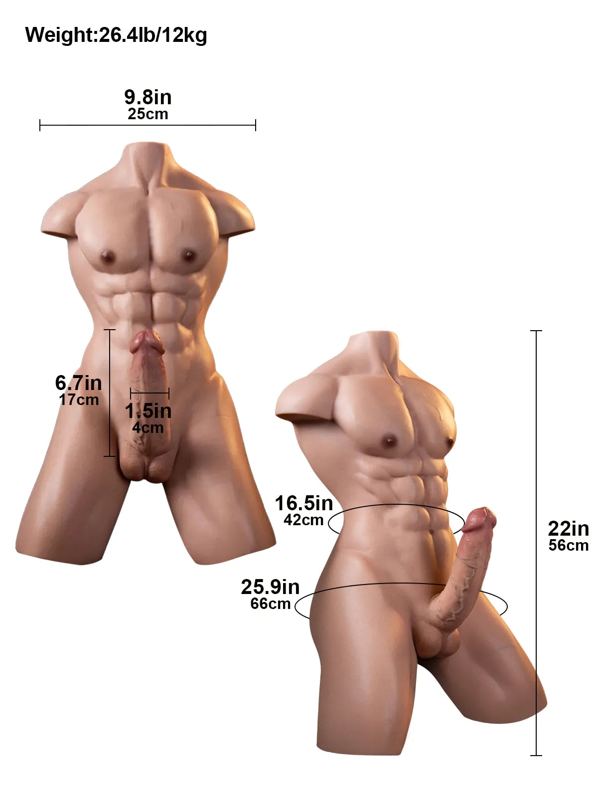 Serge - 12 kg Realistischer Dildo-Torso mit 17 cm Dildo und Analkanal