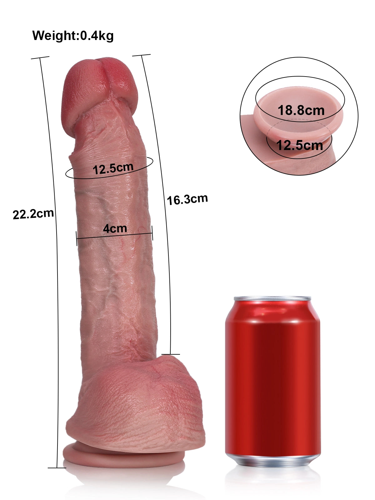 Robert - Realistischer Dildo mit großer, ausgeprägter Eichel für Einsteiger - 22,2 cm